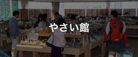 やさい館